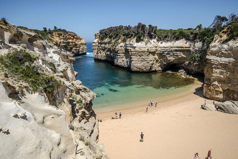 Great Ocean Road Reverse Itinerary With 12 Apostles From Melbourne - New South Wales Tourism  5
