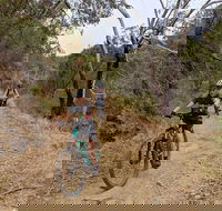 Mount Lofty Descent Bike Tour from Adelaide - New South Wales Tourism 