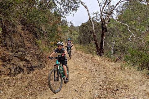 Mount Lofty Descent Bike Tour From Adelaide - New South Wales Tourism  0