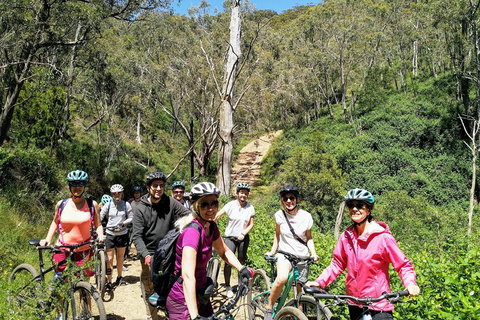 Mount Lofty Descent Bike Tour From Adelaide - New South Wales Tourism  5