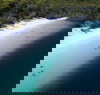 All-Inclusive Fraser Island Day Tour - New South Wales Tourism 
