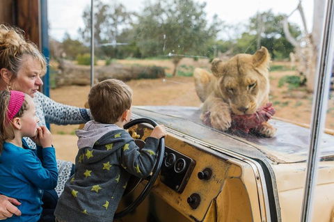 Werribee Open Range Zoo General Admission Ticket - New South Wales Tourism  4