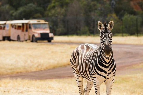 Werribee Open Range Zoo General Admission Ticket - New South Wales Tourism  5