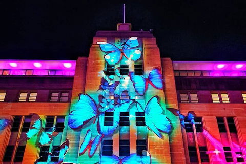 Vivid 90-Minute Sydney Harbour Small Group Catamaran Cruise - New South Wales Tourism  0