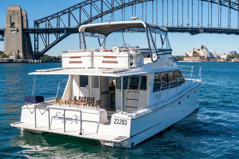 Vivid 90-Minute Sydney Harbour Small Group Catamaran Cruise - New South Wales Tourism  4