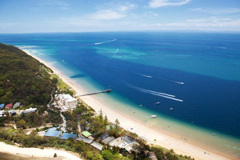 Tangalooma Island Resort Whale Watching Day Cruise With Dolphin Feeding - New South Wales Tourism  2