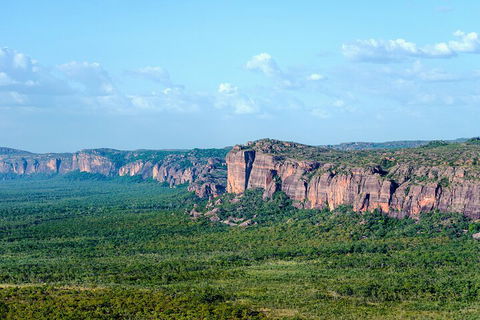 Jabiru 60 Minute Scenic Flight - New South Wales Tourism  4