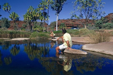 Palm Valley 4WD Day Tour - New South Wales Tourism  1