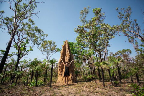 Litchfield National Park - Top End Day Tour From Darwin - New South Wales Tourism  5