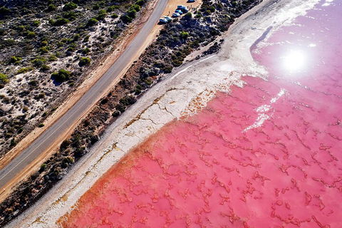 7-Day Exmouth Explorer Via Pinnacles Monkey Mia Ningaloo Reef Returning To Perth - New South Wales Tourism  0
