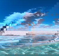 4-Day Coastal Loop via Monkey Mia Wild Dolphins Kalbarri Pinnacles Perth Return - New South Wales Tourism 