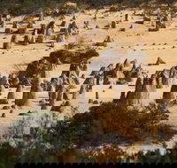 Pinnacles Sunset Dinner and Stargazing Experience a Small Group Tour - New South Wales Tourism 