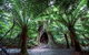2-Day Melbourne To Adelaide Tour: Great Ocean Road And Grampians One Way Trip - thumb 3