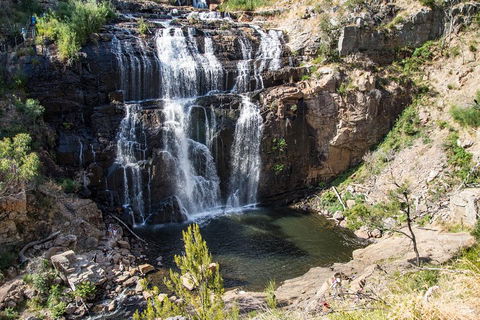 2-Day Great Ocean Road And Grampians Tour Roundtrip From Melbourne - New South Wales Tourism  1