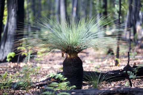 2-Day Great Ocean Road And Grampians Tour Roundtrip From Melbourne - New South Wales Tourism  3