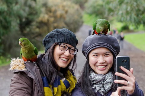 Small-Group Great Ocean Road And 12 Apostles Full-Day Tour From Melbourne - New South Wales Tourism  0