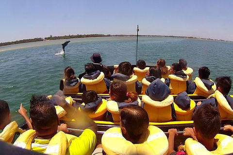 Express Jet Boat Ride + Aquaduck - New South Wales Tourism  4