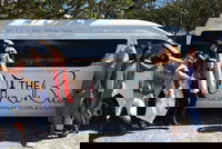 Book Viator Accommodation Vacations New South Wales Tourism New South Wales Tourism 