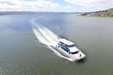 2.5 Hour Morning Discovery Cruise Including Sailing Into The Cataract Gorge - New South Wales Tourism  2
