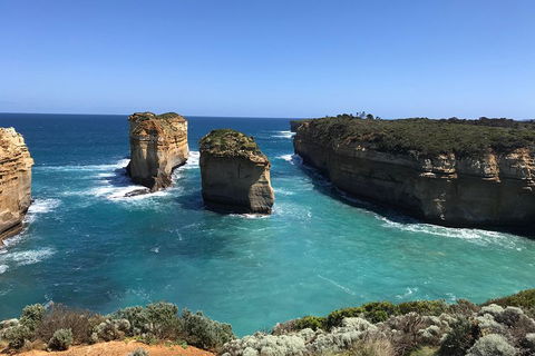 Great Ocean Road Reverse Itinerary PREMIUM Tour - New South Wales Tourism  0
