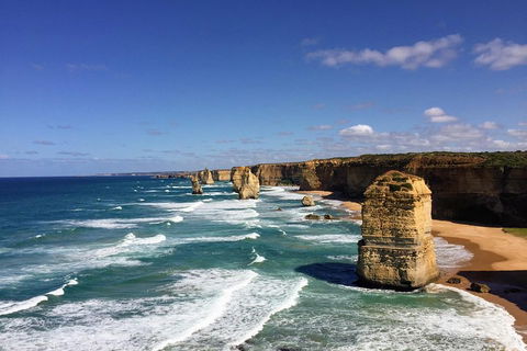 Great Ocean Road Reverse Itinerary PREMIUM Tour - New South Wales Tourism  2