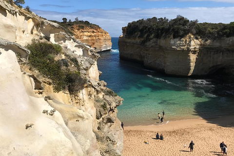 Great Ocean Road Reverse Itinerary PREMIUM Tour - New South Wales Tourism  3