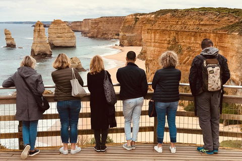Great Ocean Road Reverse Itinerary PREMIUM Tour - New South Wales Tourism  5