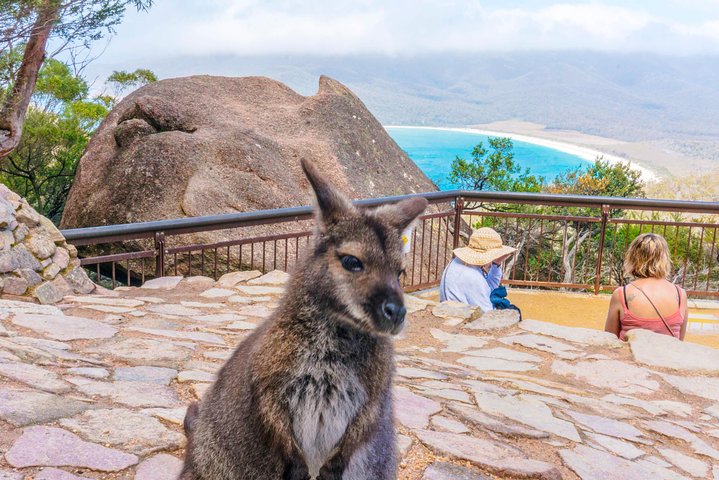  New South Wales Tourism 