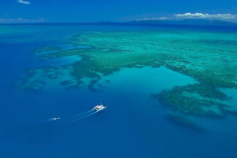 Full-Day Great Barrier Reef Sailing Trip - New South Wales Tourism  3