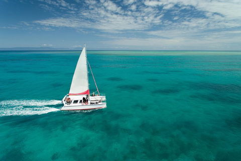 Full-Day Great Barrier Reef Sailing Trip - New South Wales Tourism  5