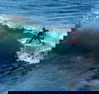 Great Ocean Road Highlights Tour - 2 Days 1 Night - New South Wales Tourism 