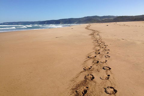 Private Great Ocean Road Full Day Tour - 1 Day Tour - New South Wales Tourism  5