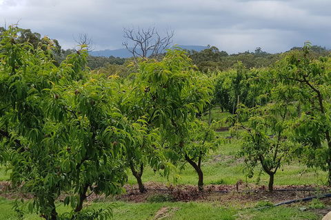 Yarra Valley Wineries And Rayners Orchard Tour From Melbourne - New South Wales Tourism  2