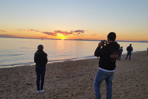 In And Around Melbourne - New South Wales Tourism  4