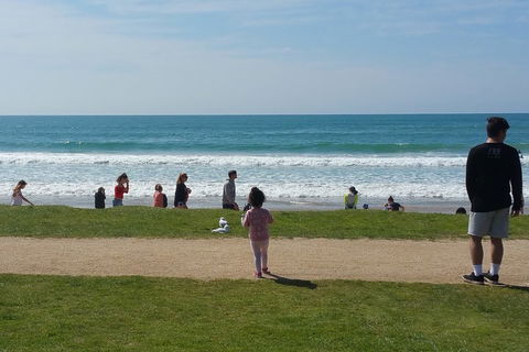 Surf Tour And Lesson - New South Wales Tourism  0