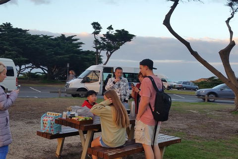 Surf Tour And Lesson - New South Wales Tourism  2