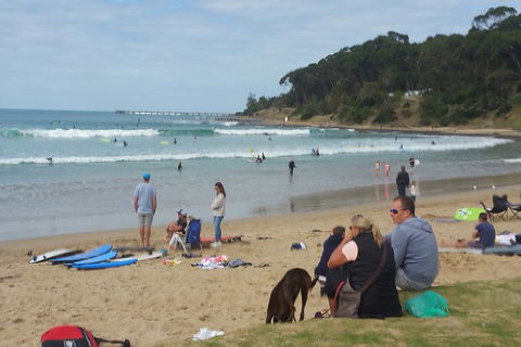 Surf Tour And Lesson - New South Wales Tourism  5