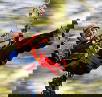 12 Apostles and Otway Fly Zipline Day Trip from Melbourne - New South Wales Tourism 