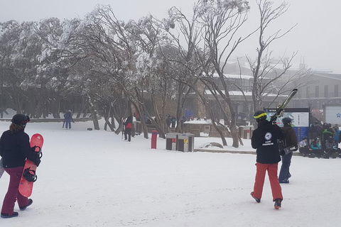 Mt Buller Day Trip From Melbourne - New South Wales Tourism  1