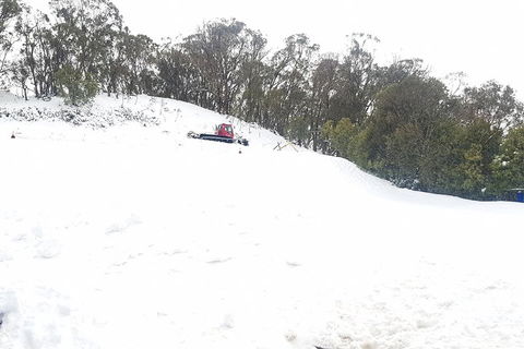 Mt Buller Day Trip From Melbourne - New South Wales Tourism  2