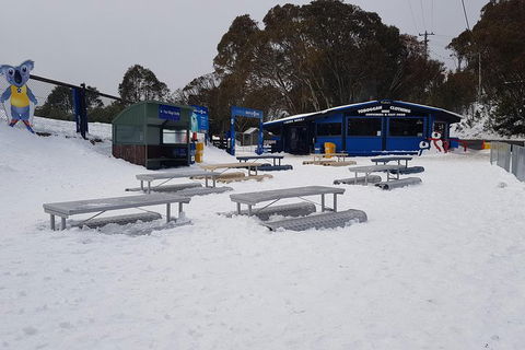 Mt Buller Day Trip From Melbourne - New South Wales Tourism  5