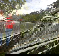 Adventure Sunset Three Day Great Ocean Road Tour - New South Wales Tourism 