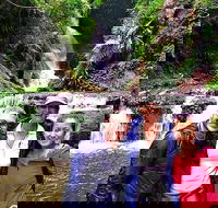Exclusive Private Tour - Design your own - New South Wales Tourism 