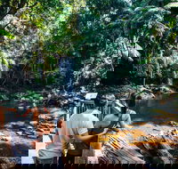 Aquaduck  Your choice of Gold Coast Rainforest Tour - New South Wales Tourism 