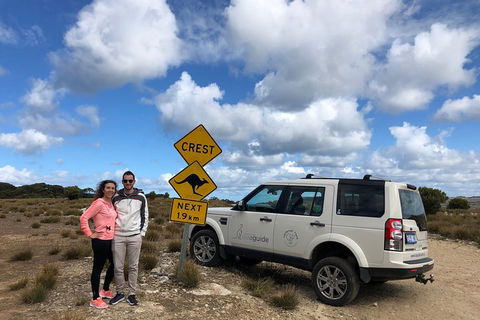 Kangaroo Island 4WD Tour - Best Of KI - New South Wales Tourism  5