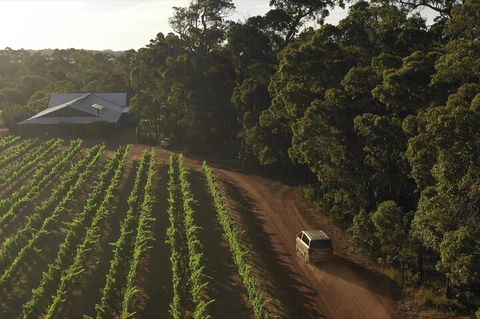 The All About Margaret River Tour: Wine, Coffee, Lunch And Forest - New South Wales Tourism  1