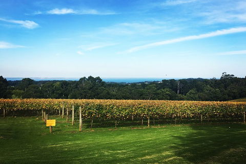 Yarra Valley Private Car Winery Tour And Chocolate.1-7 Passengers One Car Price - New South Wales Tourism  0