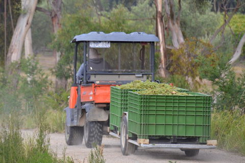 Yarra Valley Private Car Winery Tour And Chocolate.1-7 Passengers One Car Price - New South Wales Tourism  1