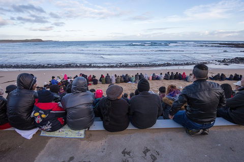 Full-Day Bus Tour Phillip Island Wildlife And Brighton Beach - New South Wales Tourism  1