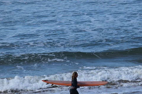 Full-Day Bus Tour Phillip Island Wildlife And Brighton Beach - New South Wales Tourism  3